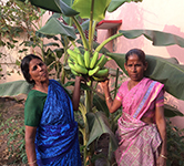 Om Shanthi Project